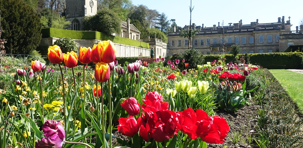 Dyrham Park, credit Barry Batchelor